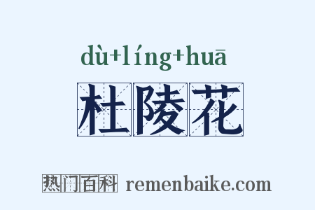 杜陵花是什么意思的图片